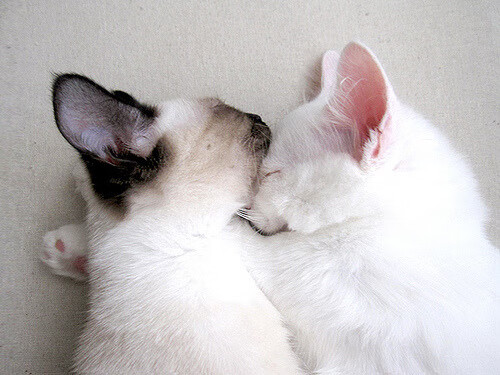 李刚仁爆发闪耀亚洲之光,美国节奏掌控终结卡塔尔奇迹