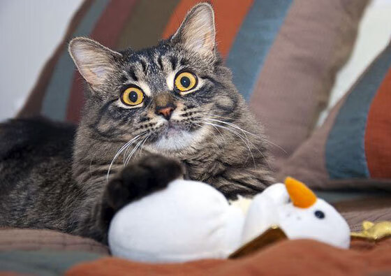 绝境之舟与冷静熔炉，哈登的胜负手与马刺的集体围猎