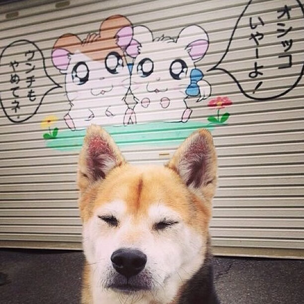 -领袖之夜，杜兰特唤醒团队，世界排名争夺战上演逆转传奇