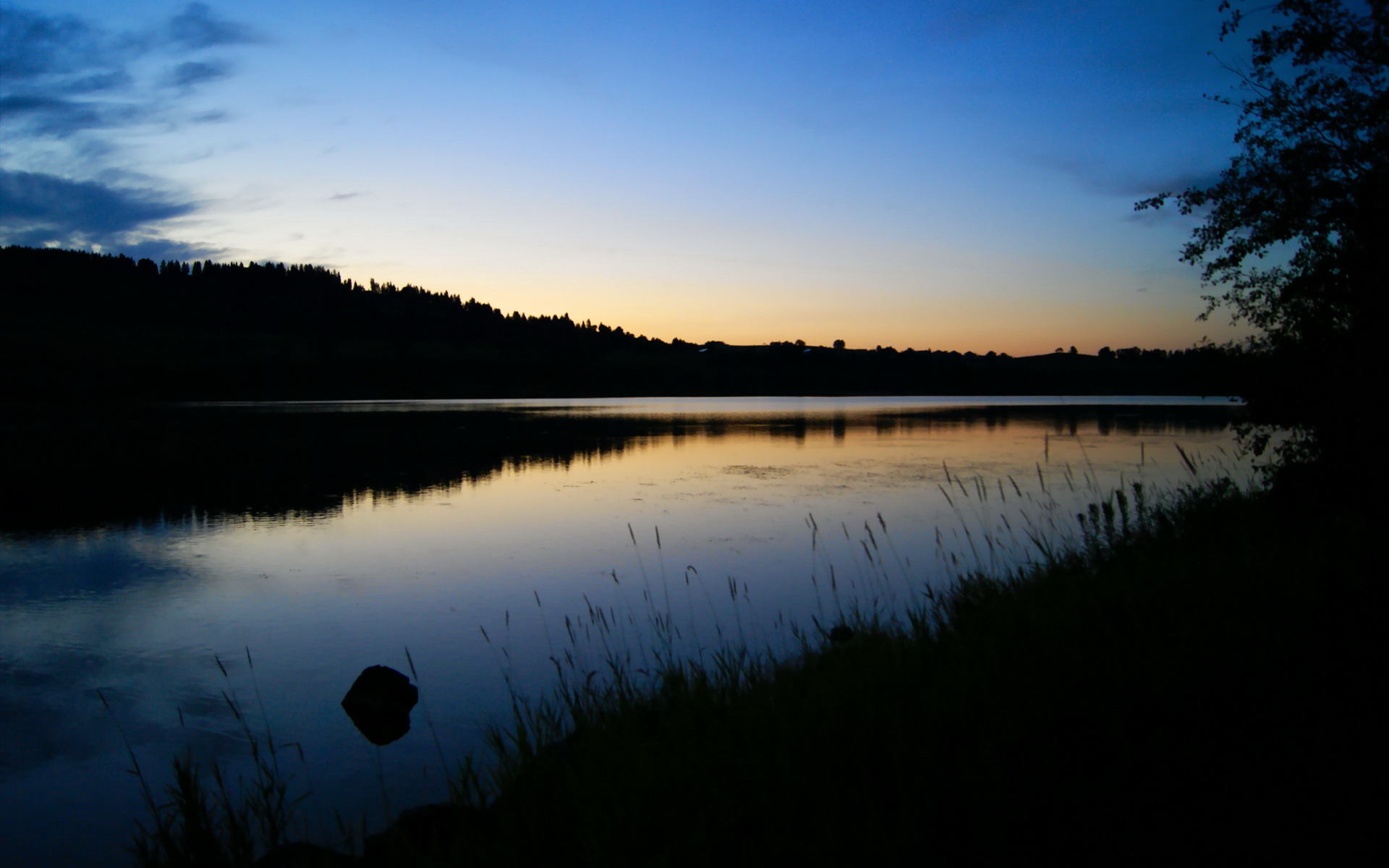 范弗利特爆发！杭州湾夜空下，浙江队最后时刻的惊天逆转