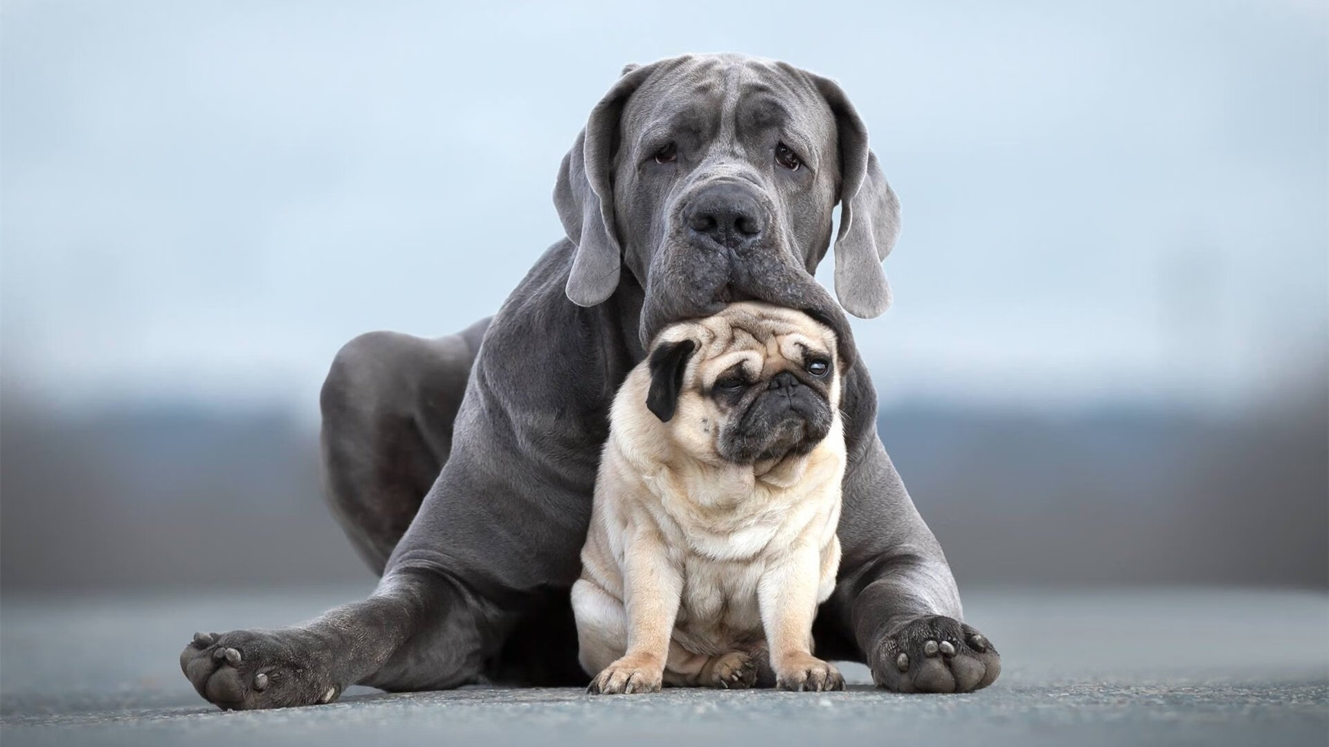 pg电子模拟器试玩在线-当足球的战术铁链撞上篮球的烈焰风暴，解析太阳火力如何诠释现代竞技的压制哲学