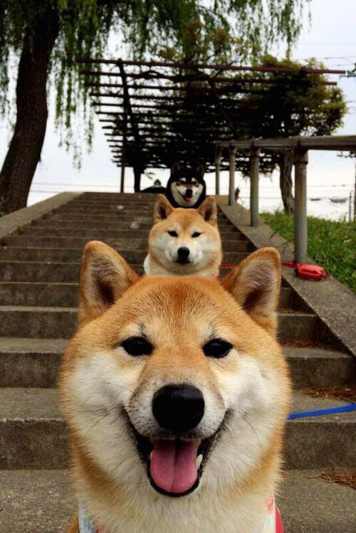 阿什拉夫两射一传定乾坤，非洲劲旅马里3-0轻取玻利维亚