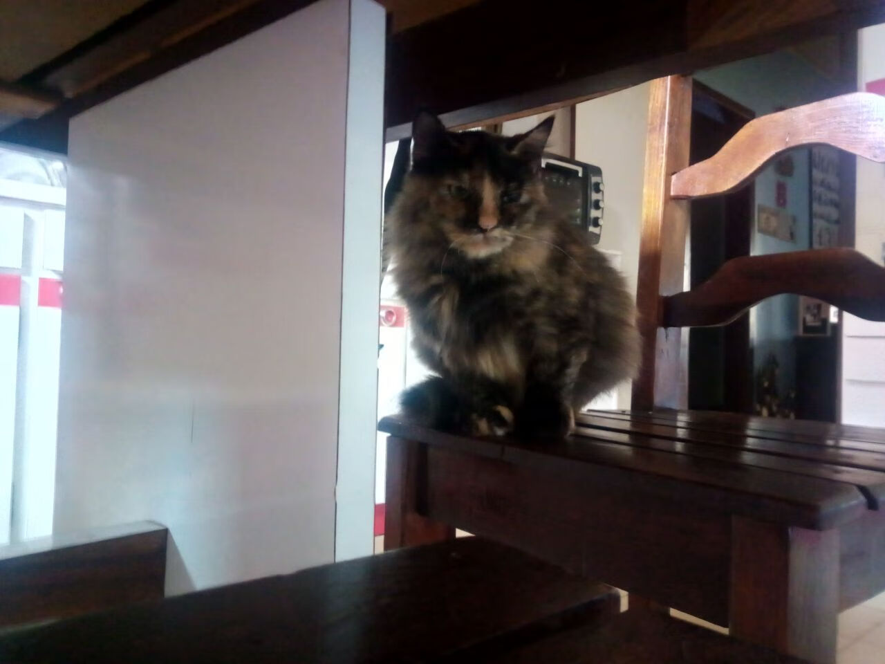 pg电子试玩网站-英格拉姆爆发助广东队关键战突围，力克凯尔特人创历史