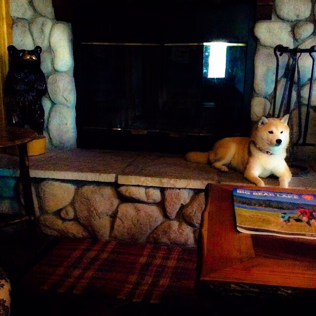 pg电子官网-蒂亚戈闪电破局，阿根廷窒息式压制终结丹麦童话