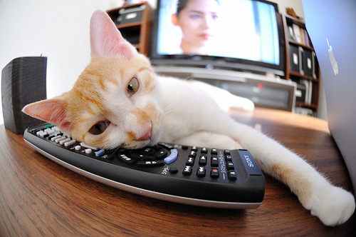 伦纳德末节爆发主宰攻防，快船力克奇士显冠军相