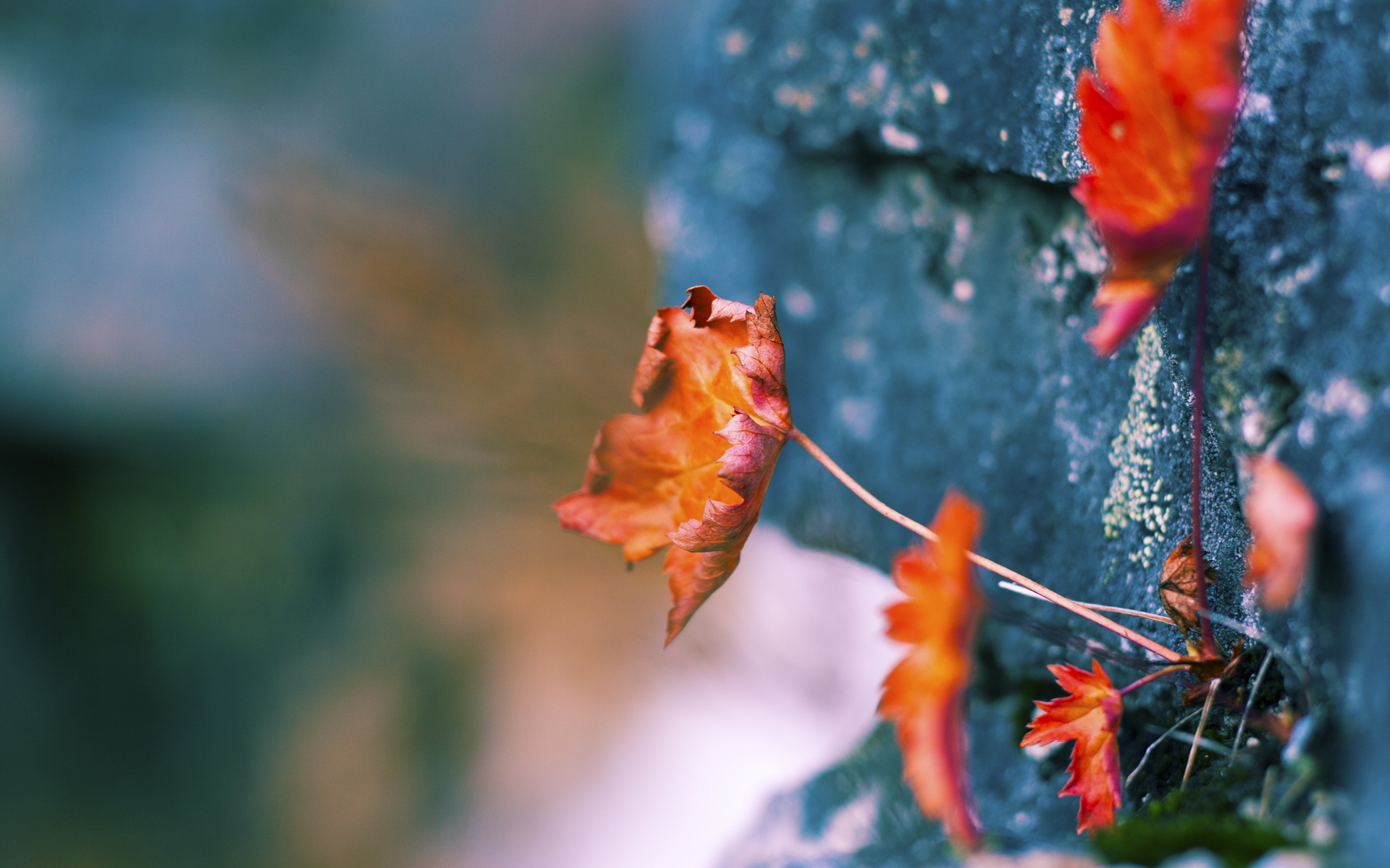 pg电子模拟器试玩在线-加纳收割德国启示录，当哈兰德的稳定输出成为现代足球的胜负手