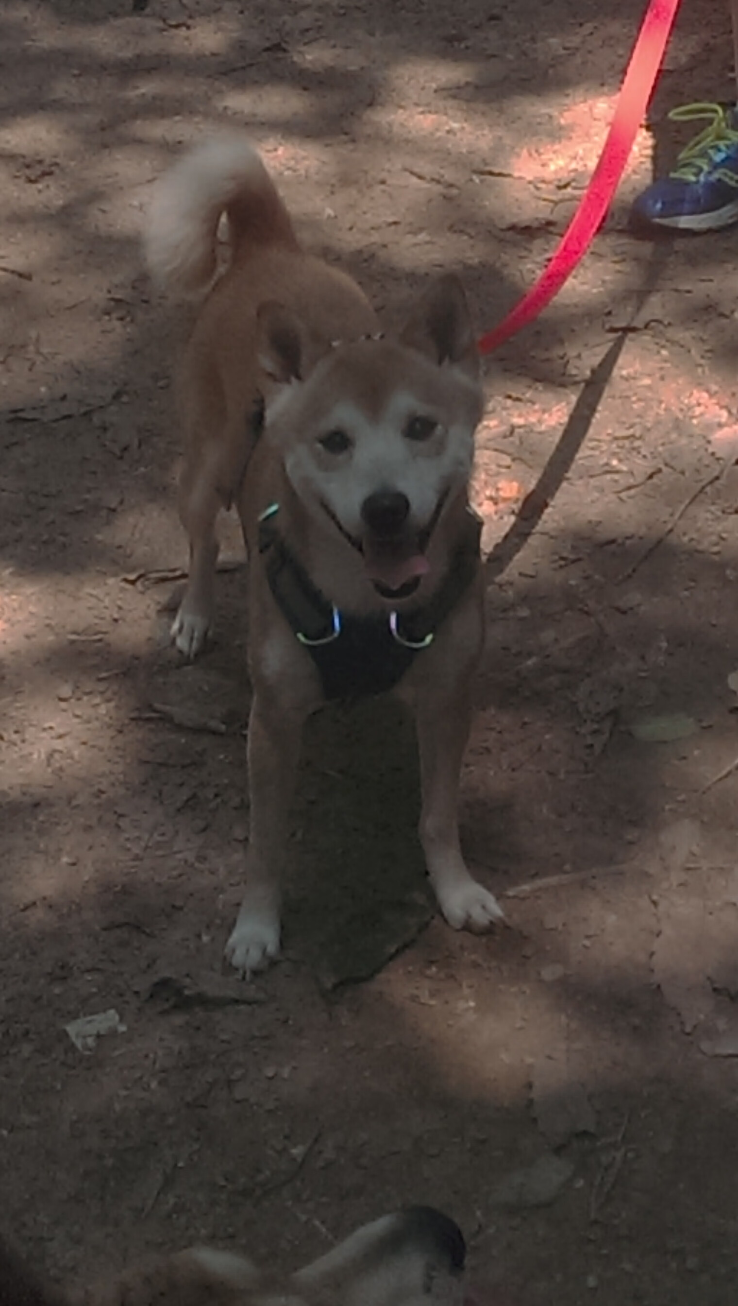 欧冠级别的对决，克利夫兰骑士如何在最后两分钟完成铁血绞杀